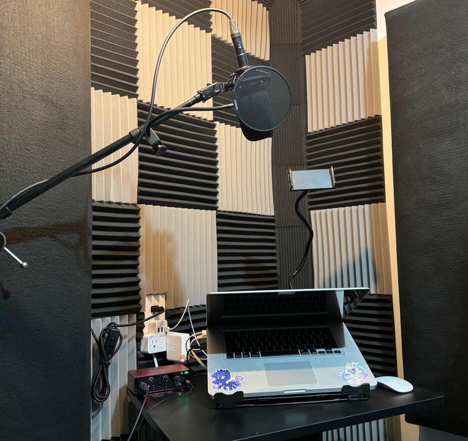 A picture of Jeremy Baker’s microphone and the sound treatment in his recording area.